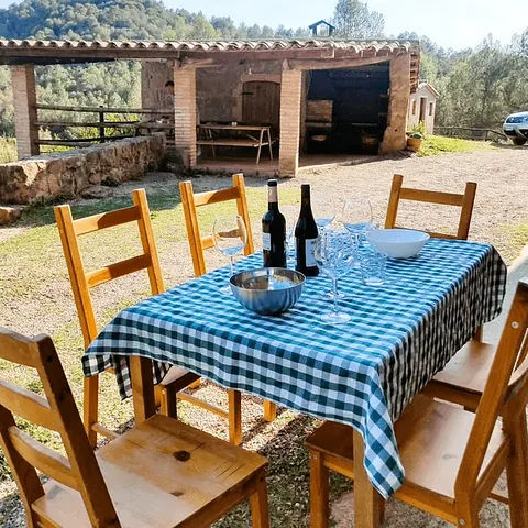 Cal Cabreta Casa Rural mesa en jardin con barbacoa de fondo