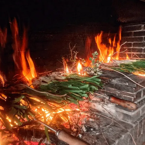 Cal Cabreta Casa Rural barbacoa en marcha